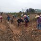 Xã Đồng Lợi tổ chức Tết trồng cây nhân dịp Xuân Quý Mão 2023