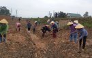 Xã Đồng Lợi tổ chức Tết trồng cây nhân dịp Xuân Quý Mão 2023
